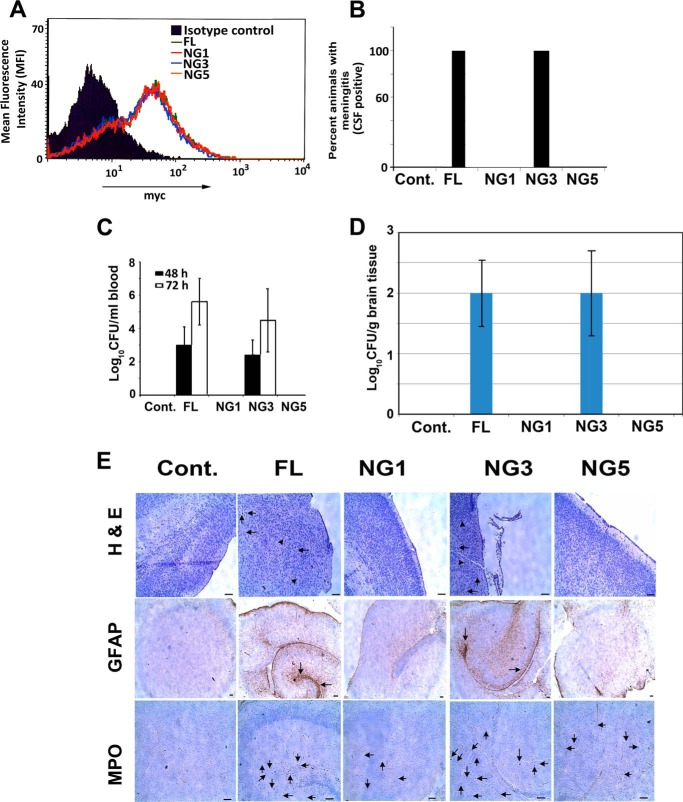 FIGURE 4.