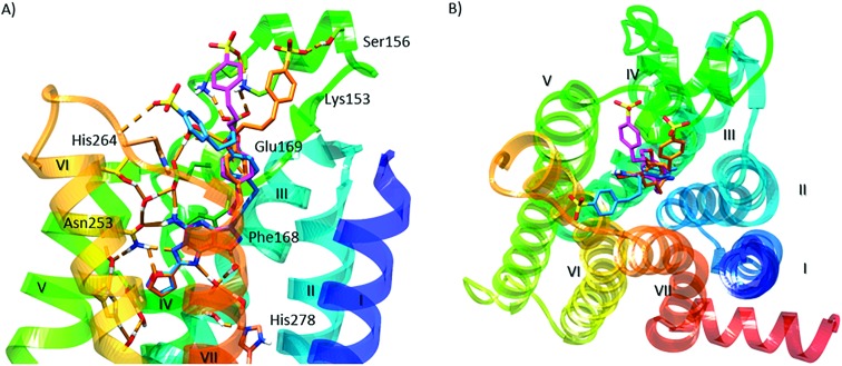 Fig. 3