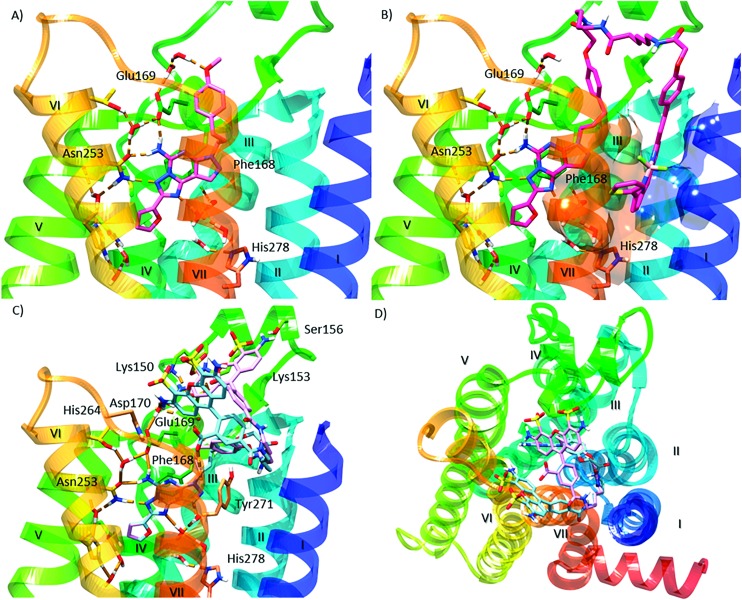 Fig. 2