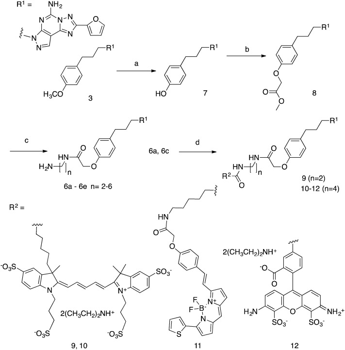 Scheme 1