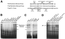 Fig. 9.