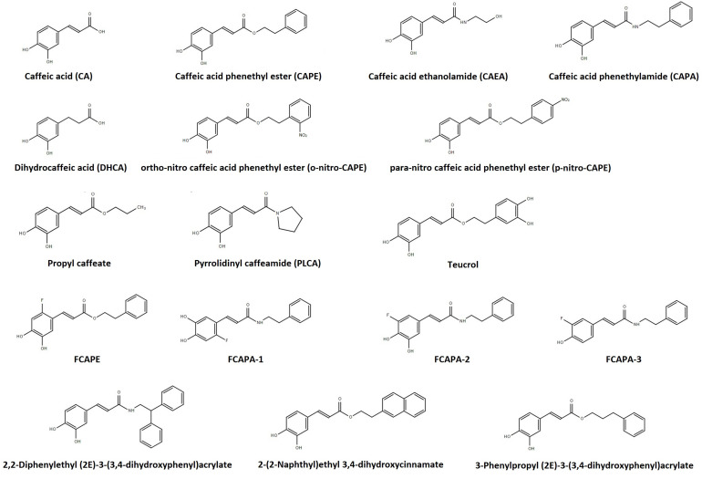 FIGURE 1