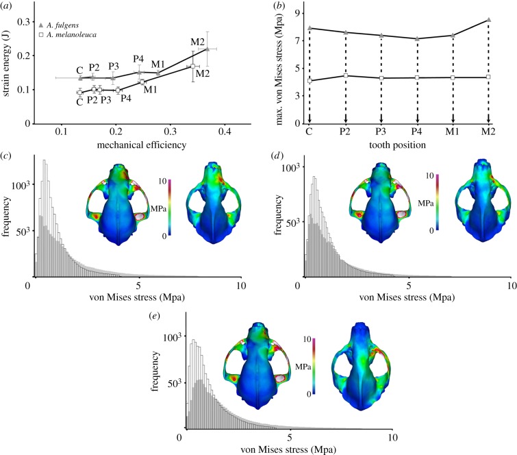 Figure 1.