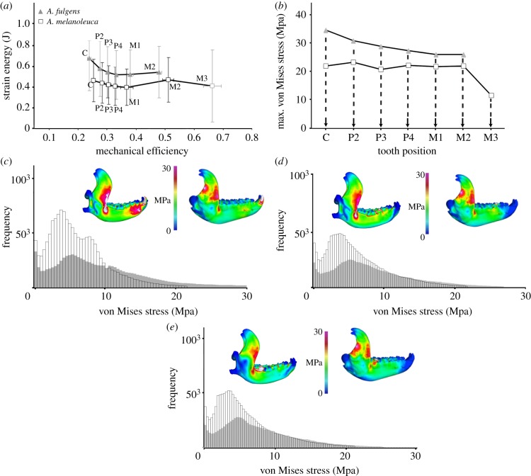 Figure 2.