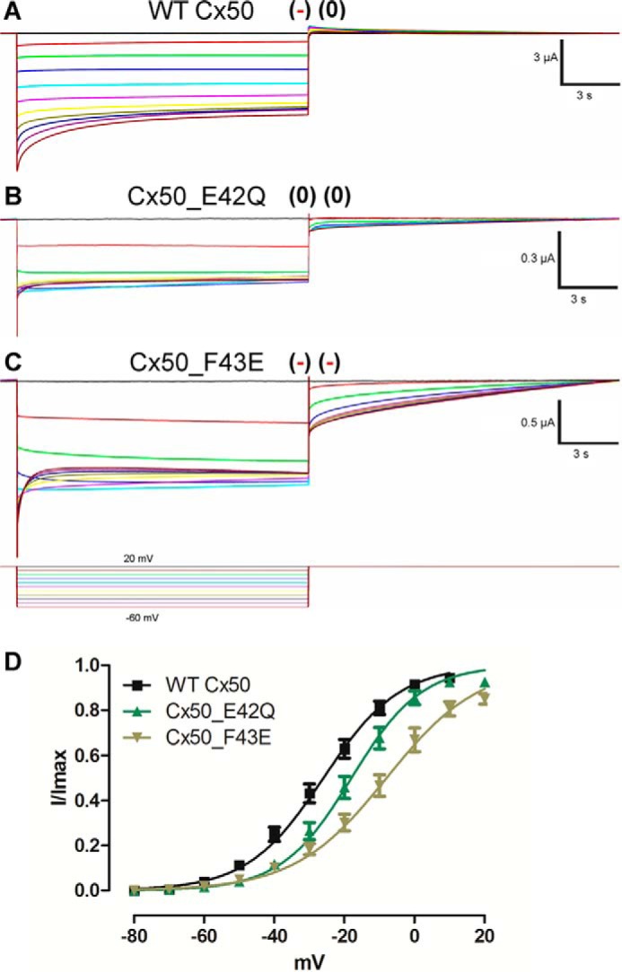 FIGURE 7.