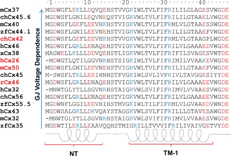 FIGURE 1.