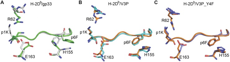 Fig 5