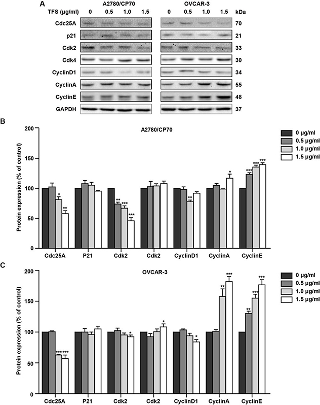 Fig. 7 -