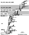 FIG. 4.