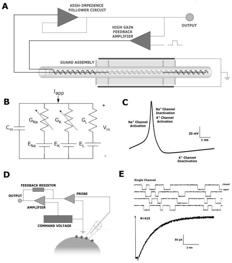 Fig. 1