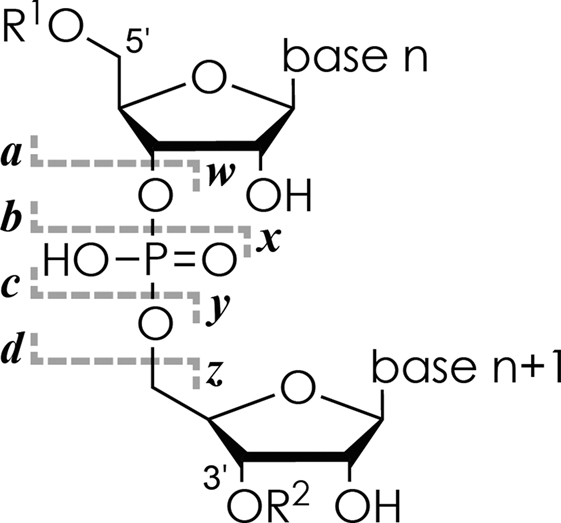 Scheme 2.