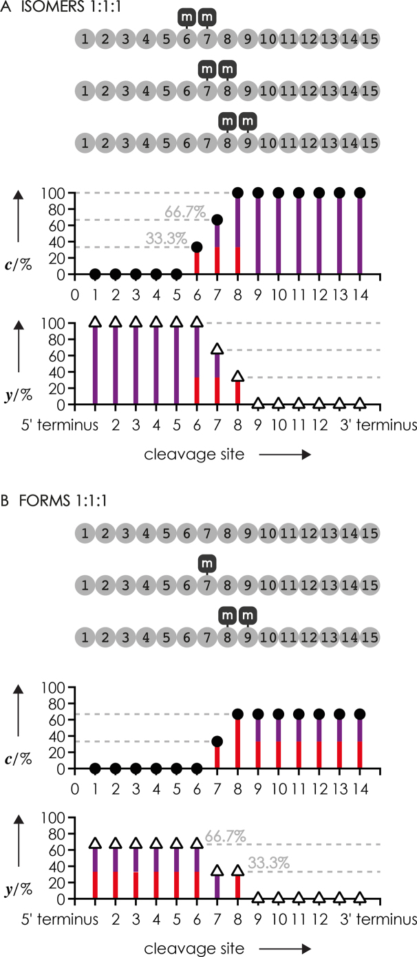 Scheme 4.