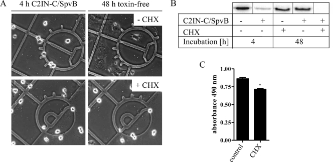 FIG. 6.