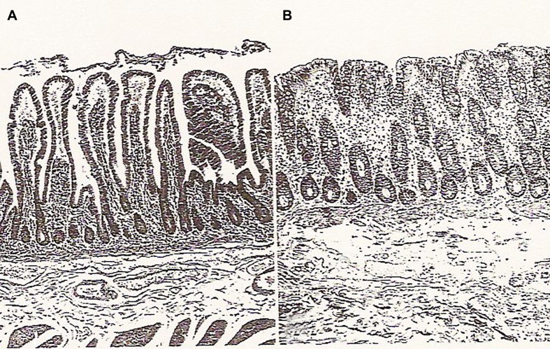 Fig. 7