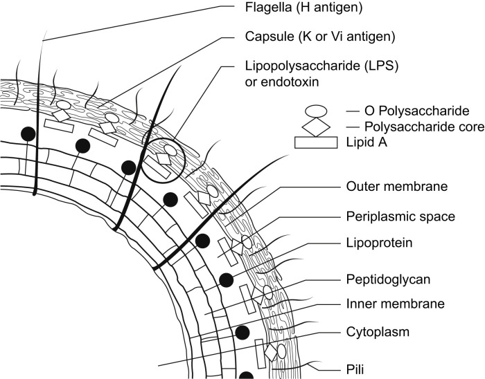 Fig. 3