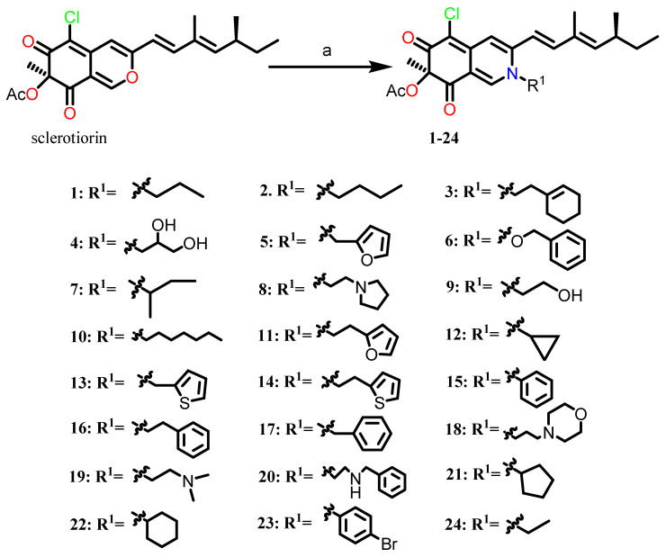 Scheme 1