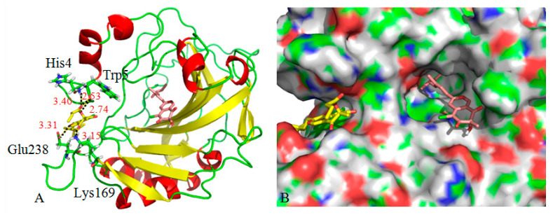 Figure 6