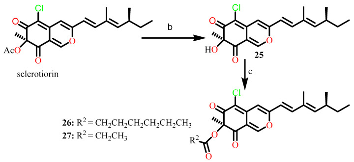 Scheme 2