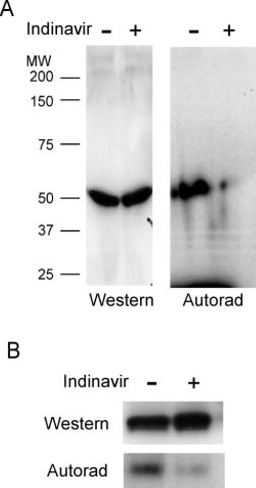 FIG. 6