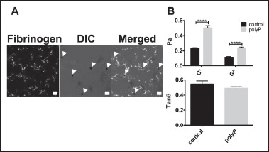 Figure 5: