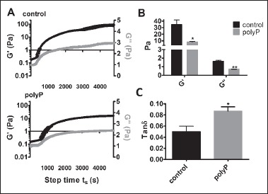 Figure 4: