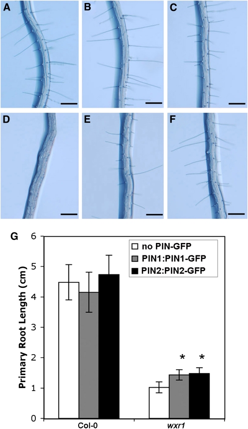 Figure 6.