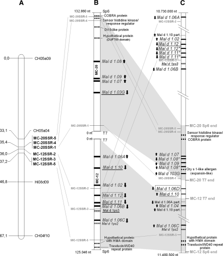 Fig. 1