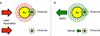 Figure 40