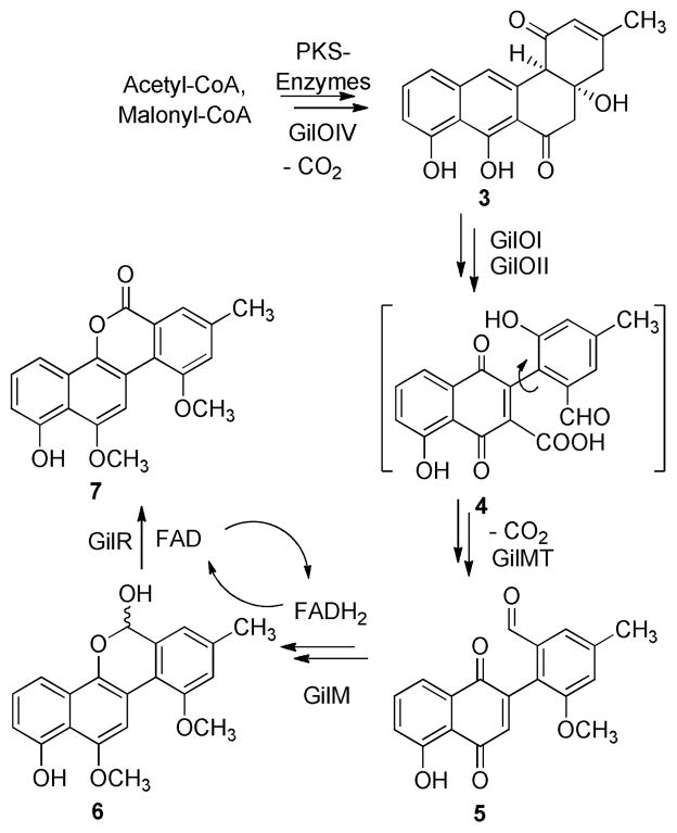 Scheme 1