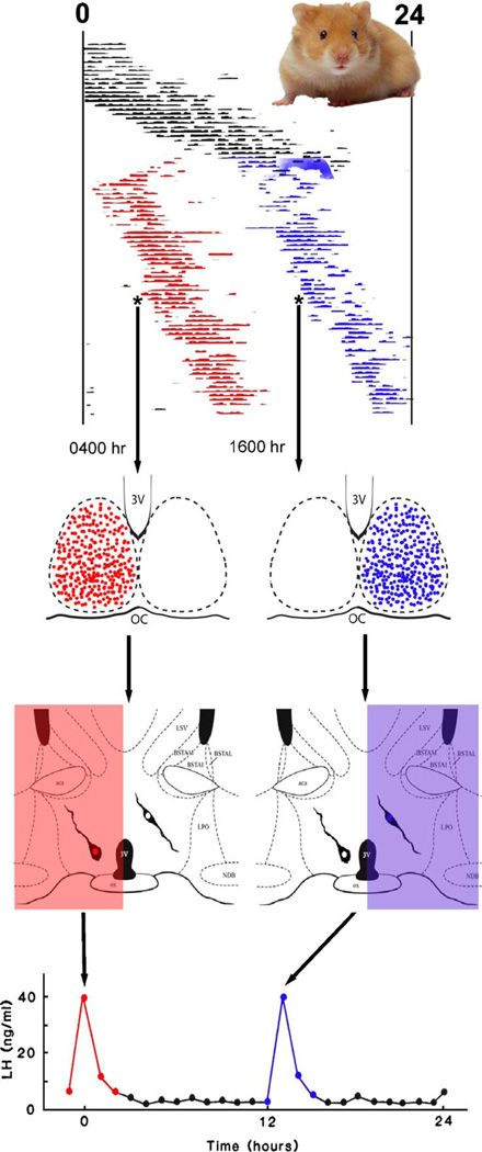 Fig. 3