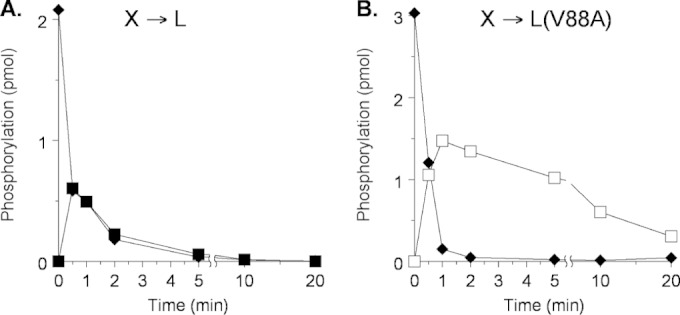 FIG 1