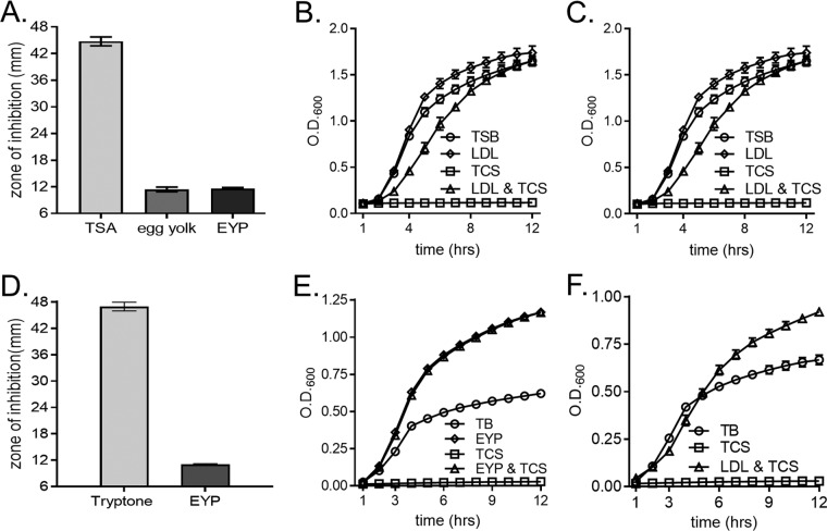 FIG 1