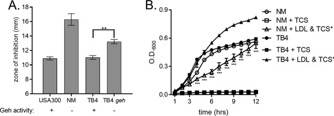 FIG 4