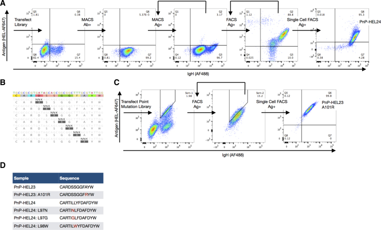 Figure 4.