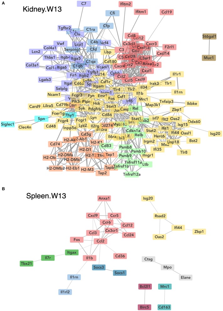 Figure 13