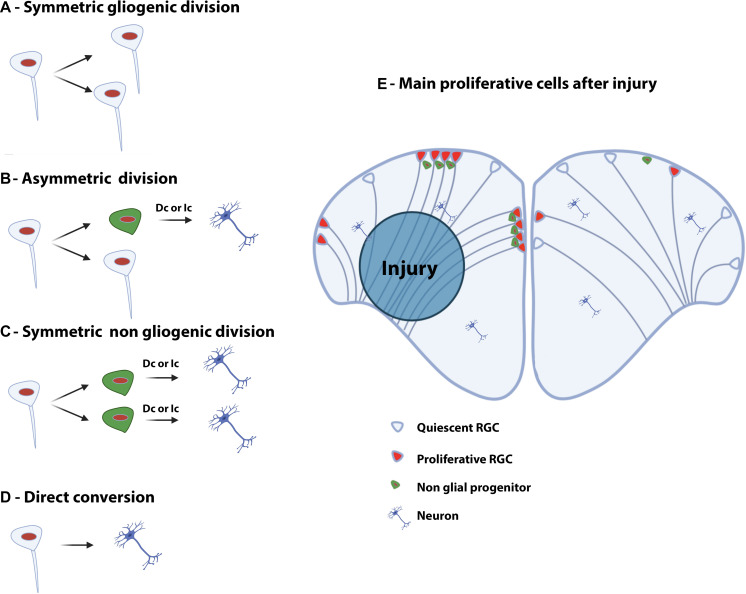 FIGURE 4