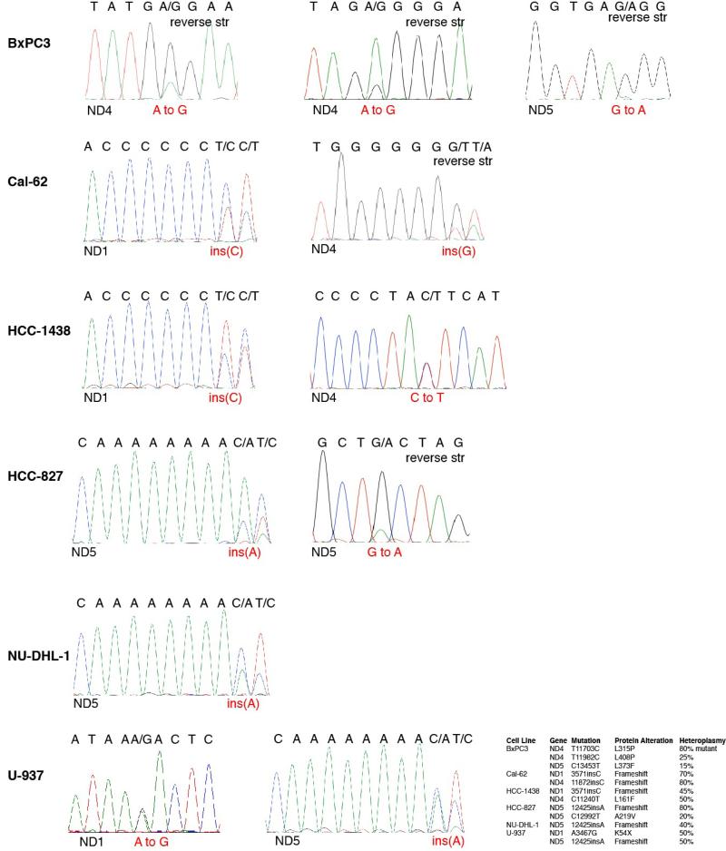 Extended Data Fig. 7