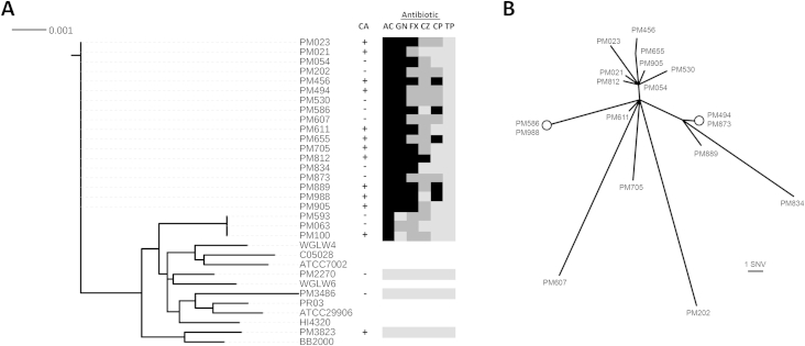 Fig. 1