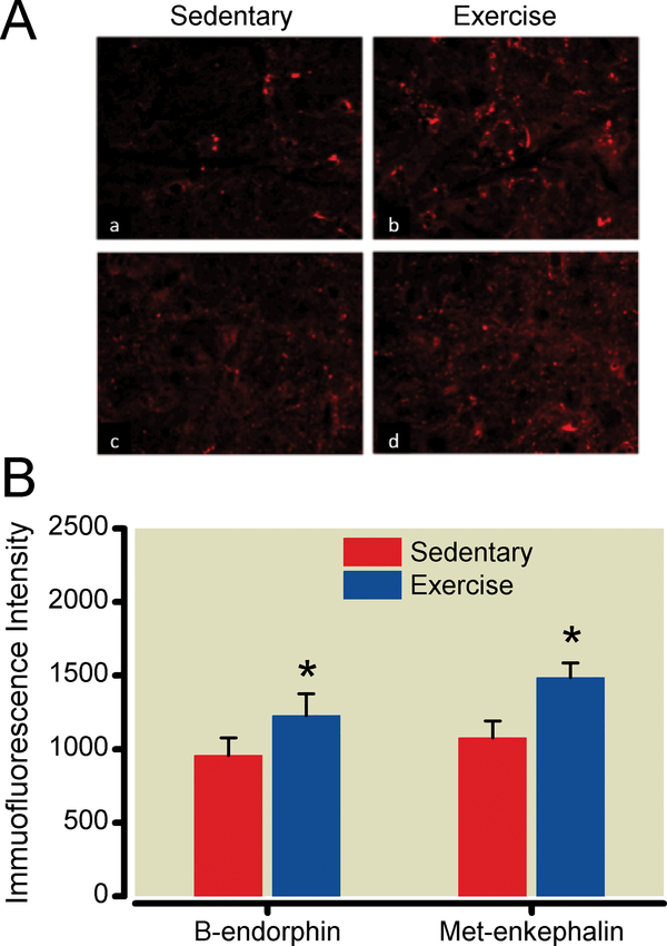 Figure 6: