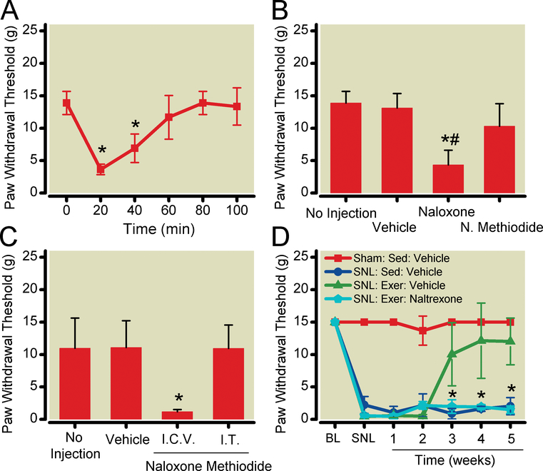 Figure 4: