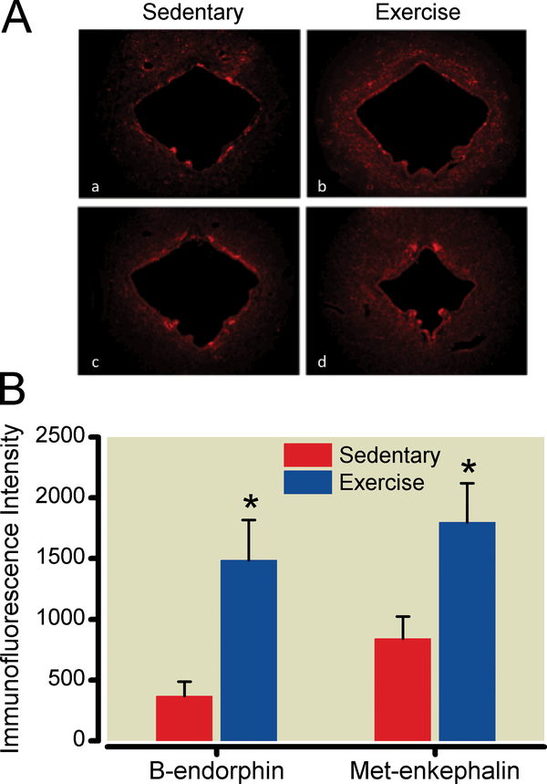 Figure 5: