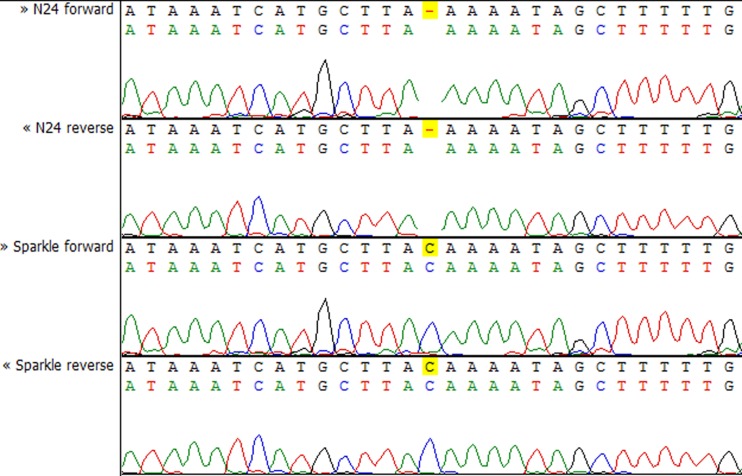 Figure 5