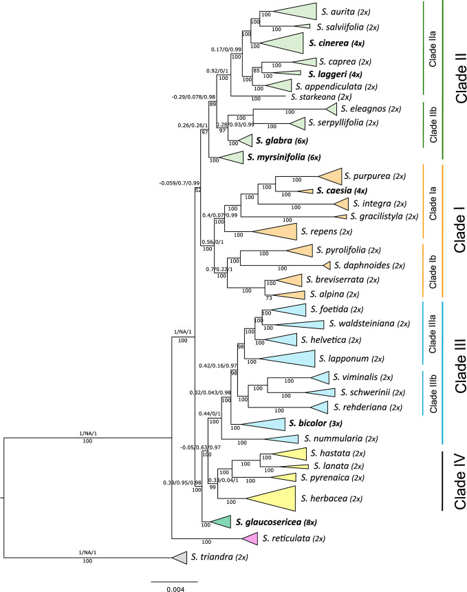 Figure 2