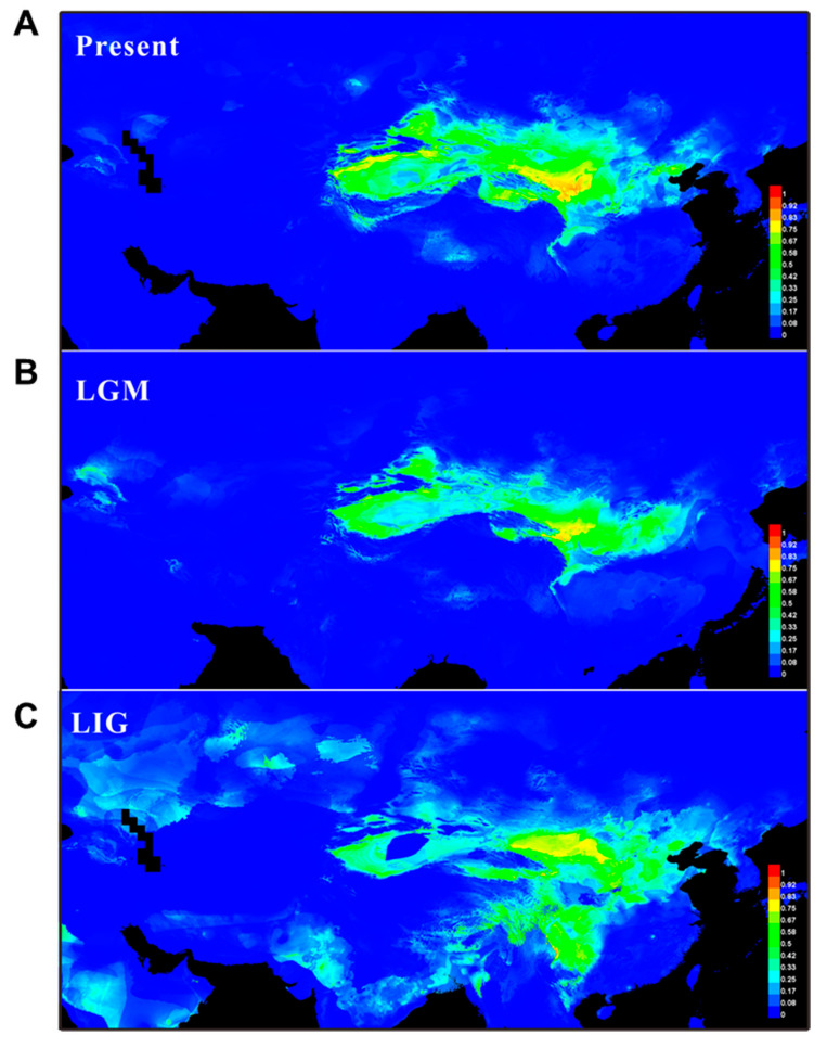 Figure 6