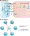 Figure 5 |