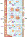 Figure 3 |