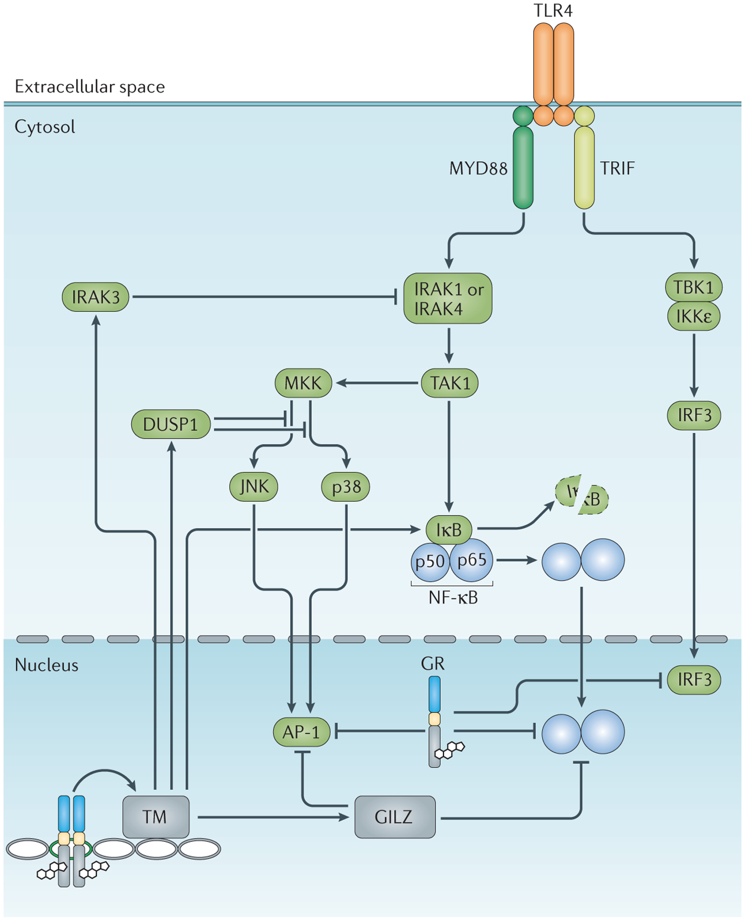 Figure 4 |