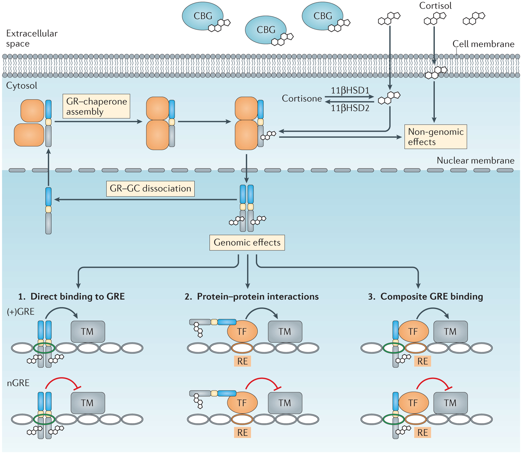 Figure 2 |