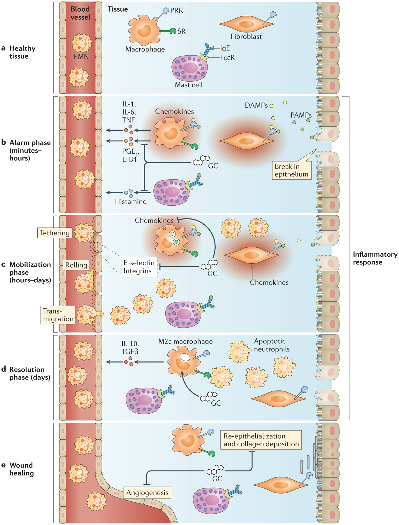 Figure 3 |