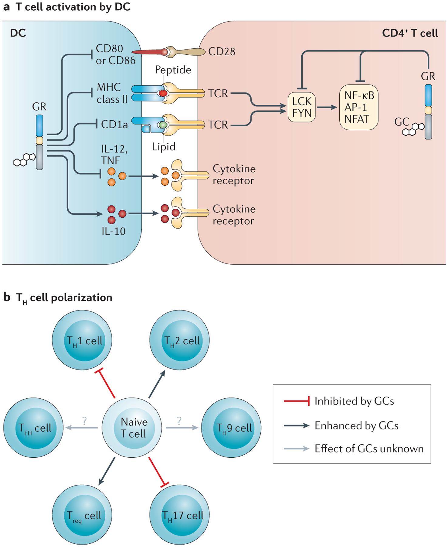 Figure 5 |